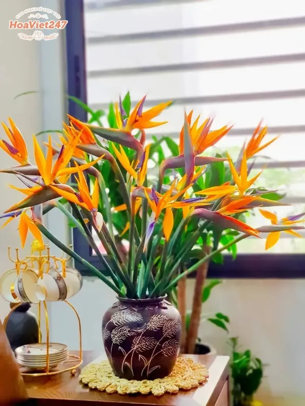 cây hoa thiên điểu phù hợp với mệnh gì