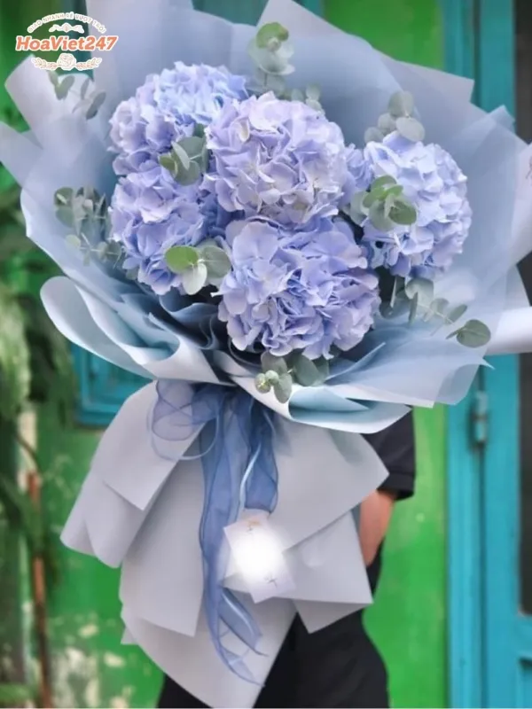 Hoa cẩm tú cầu ở Châu Á