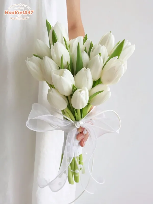 hoa cưới tulip trắng