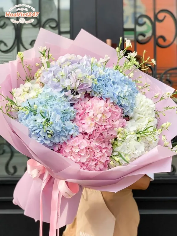 ý nghĩa hoa cẩm tú cầu tình yêu