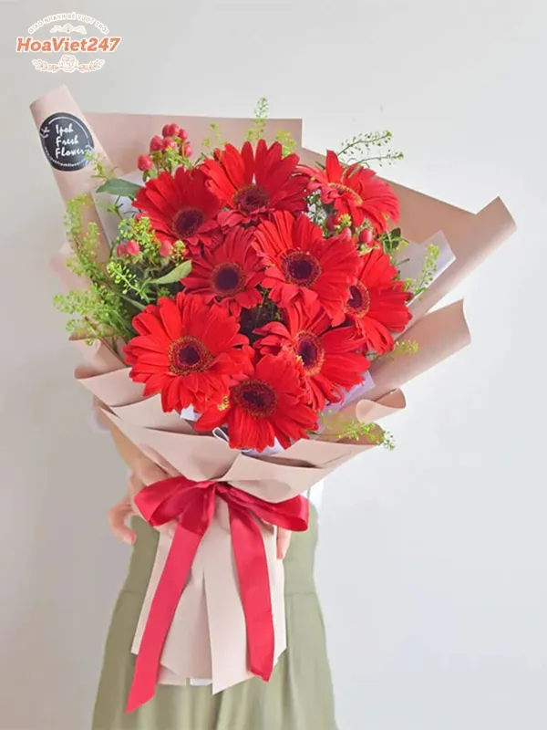 ý nghĩa hoa đồng tiền màu đỏ