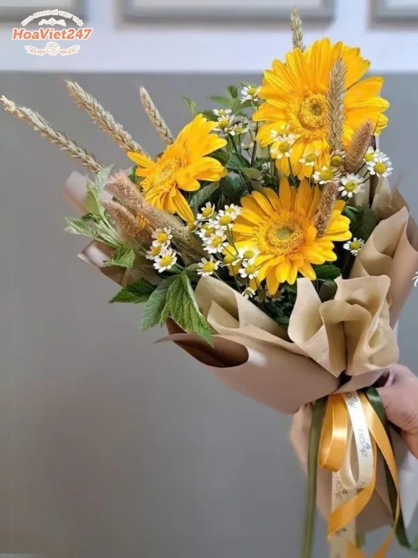 ý nghĩa hoa đồng tiền màu vàng 