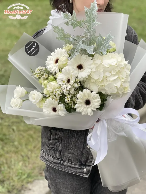 ý nghĩa hoa đồng tiền trắng
