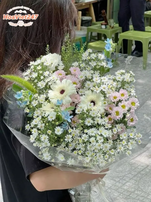 giá bán hoa cúc họa mi