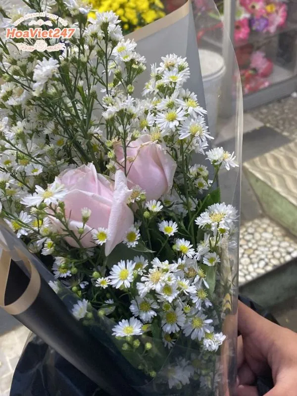 ý nghĩa hoa cúc họa mi trắng