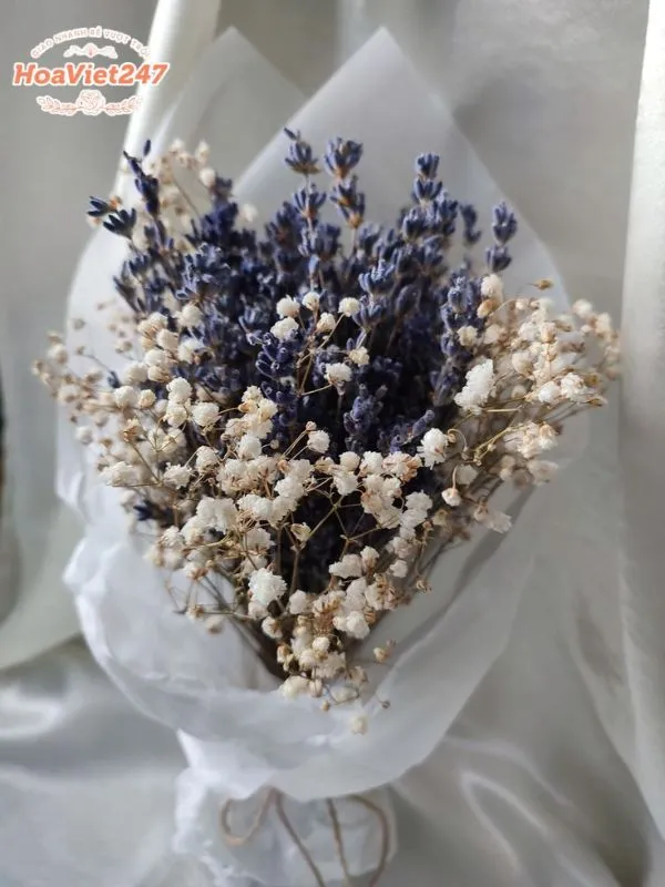 ý nghĩa hoa lavender khô