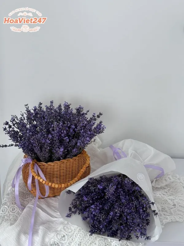 ý nghĩa hoa lavender trong phong thủy