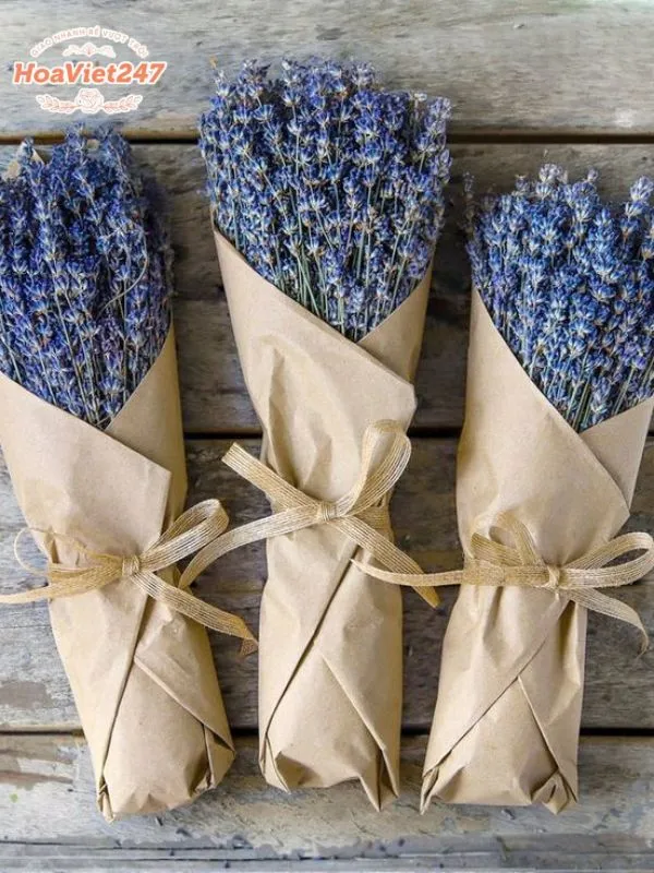 ý nghĩa hoa lavender xanh