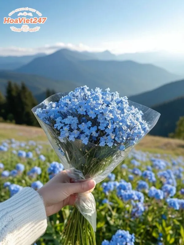 ý nghĩa hoa lưu ly xanh hy vọng