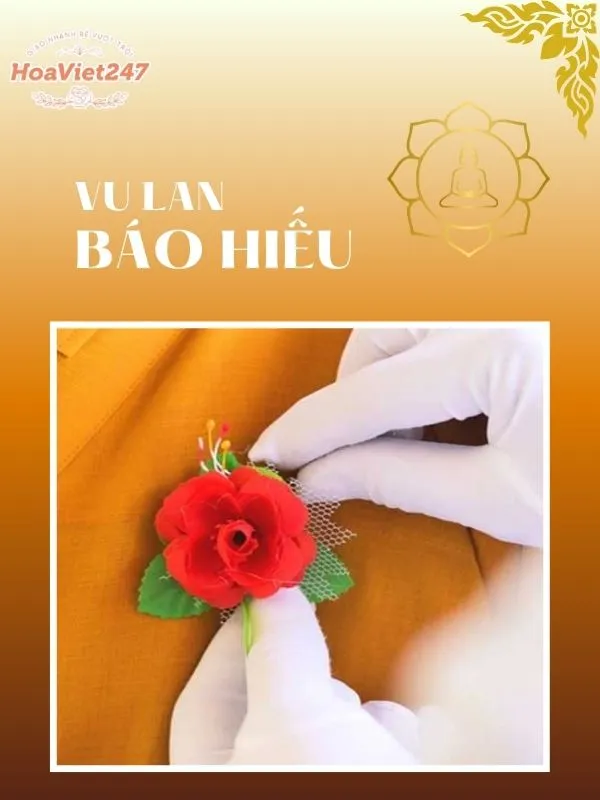 bông hồng cài áo màu đỏ