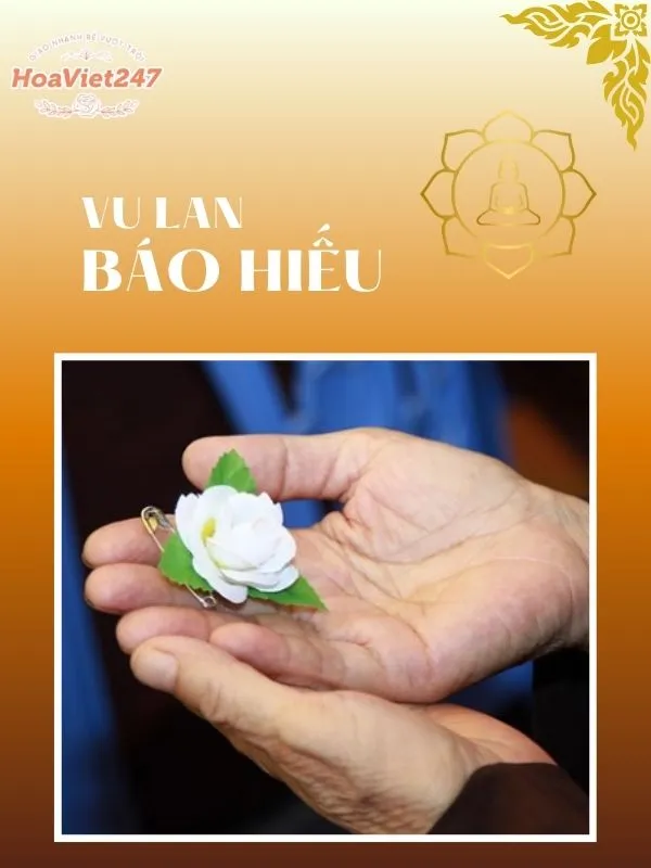 bông hồng cài áo màu trắng
