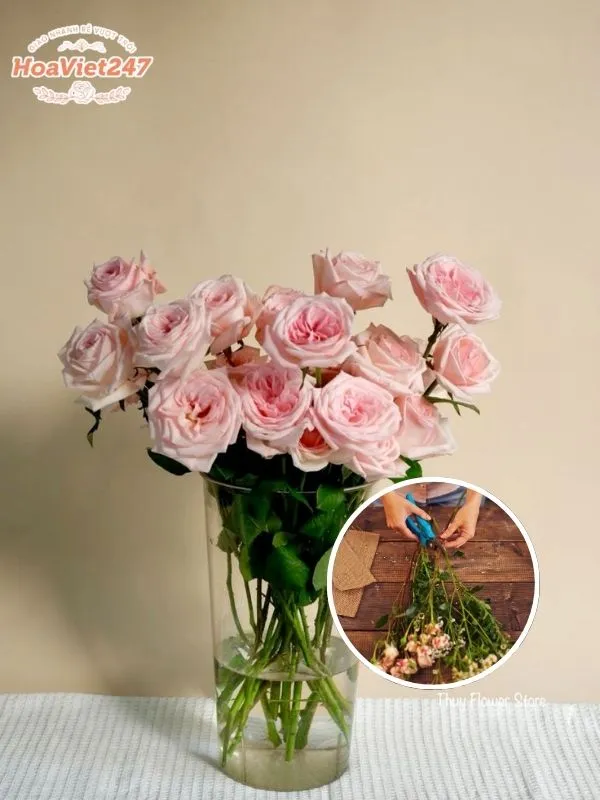cách tỉa gốc thân cây để bông hồng lâu tàn