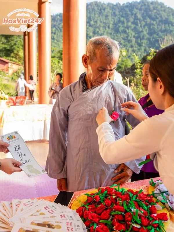hoa hồng cài áo sẵn sàng cho đại lễ