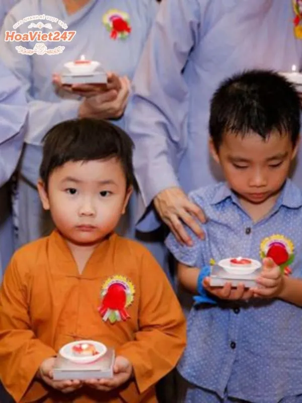 hoa hồng đỏ cài áo trước ngực