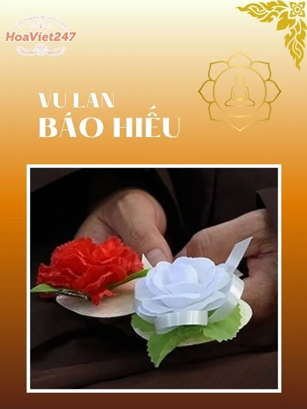 nghi thức hoa hồng cài áo mùa vulan