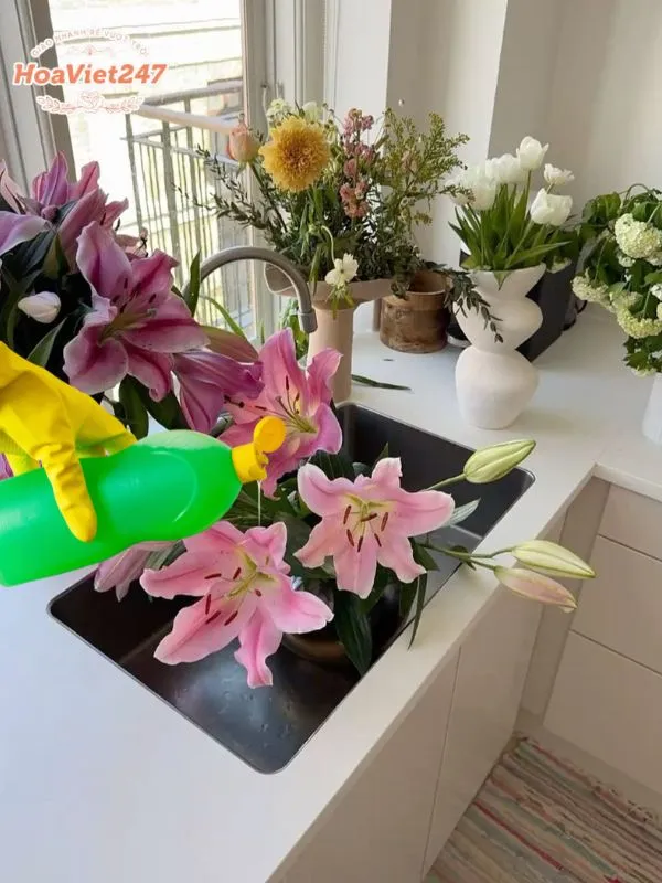 pha nước rửa chén để cắm hoa tươi lâu