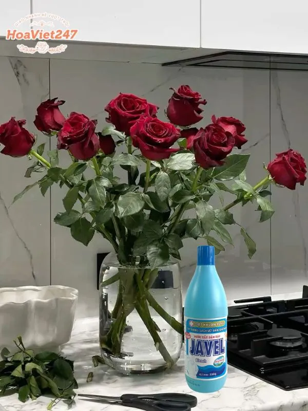pha với nước javel để giữ hoa tươi lâu