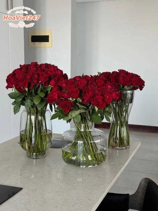 thay nước cho hoa hồng tươi lâu