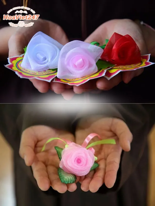 tìm hiểu ý nghĩa bông hồng cài áo