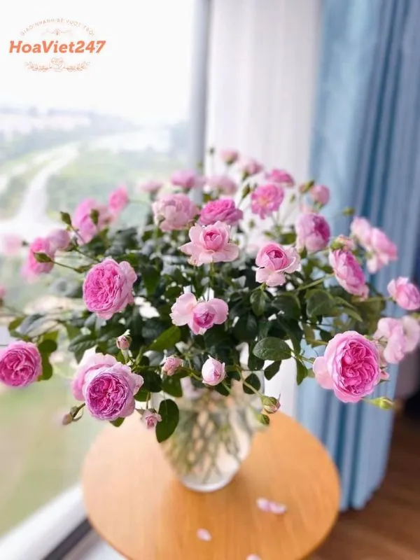 vị trí đặt hoa để hoa tươi lâu