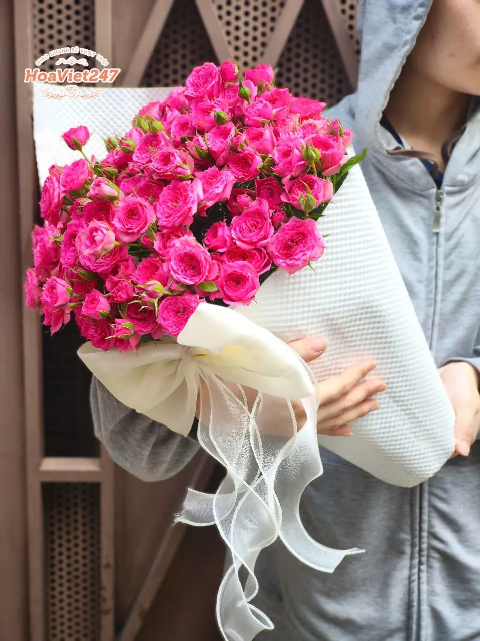 bo hong sophia bh135